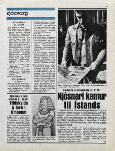 Desmond Bagley Running Blind Icelandic media article from Visir 18th January 1980.
