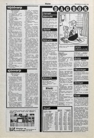 Desmond Bagley Running Blind Icelandic media article from Timinn 30th January 1980.